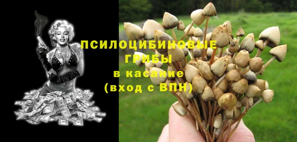 дурь Аркадак